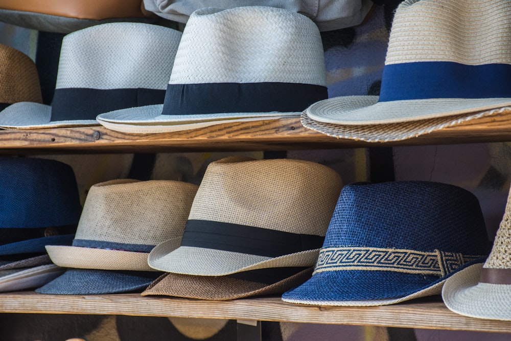 assorted-color fedora hat lot