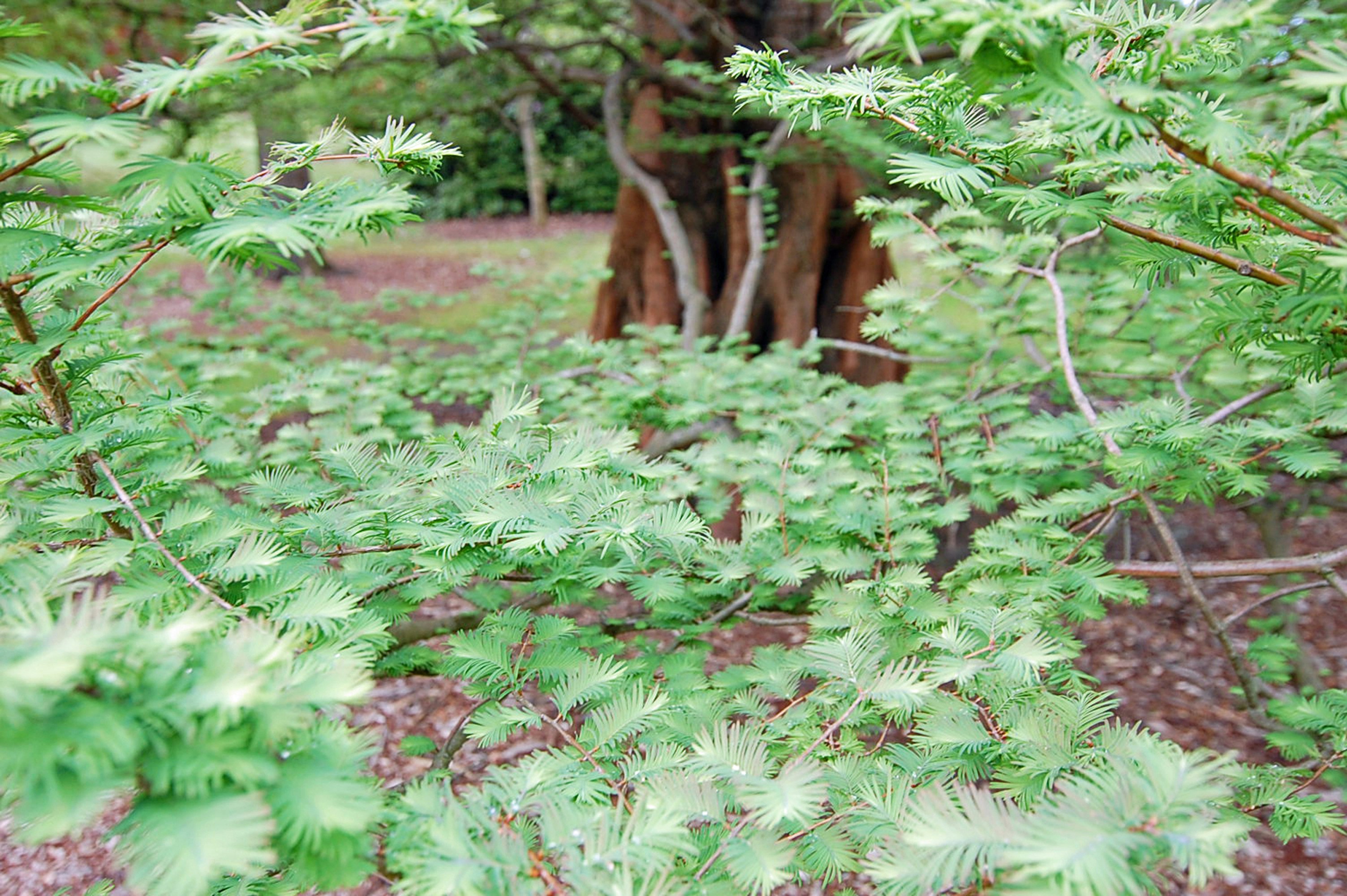 Maja R. (@majas) | Comunidad de fotos de Unsplash