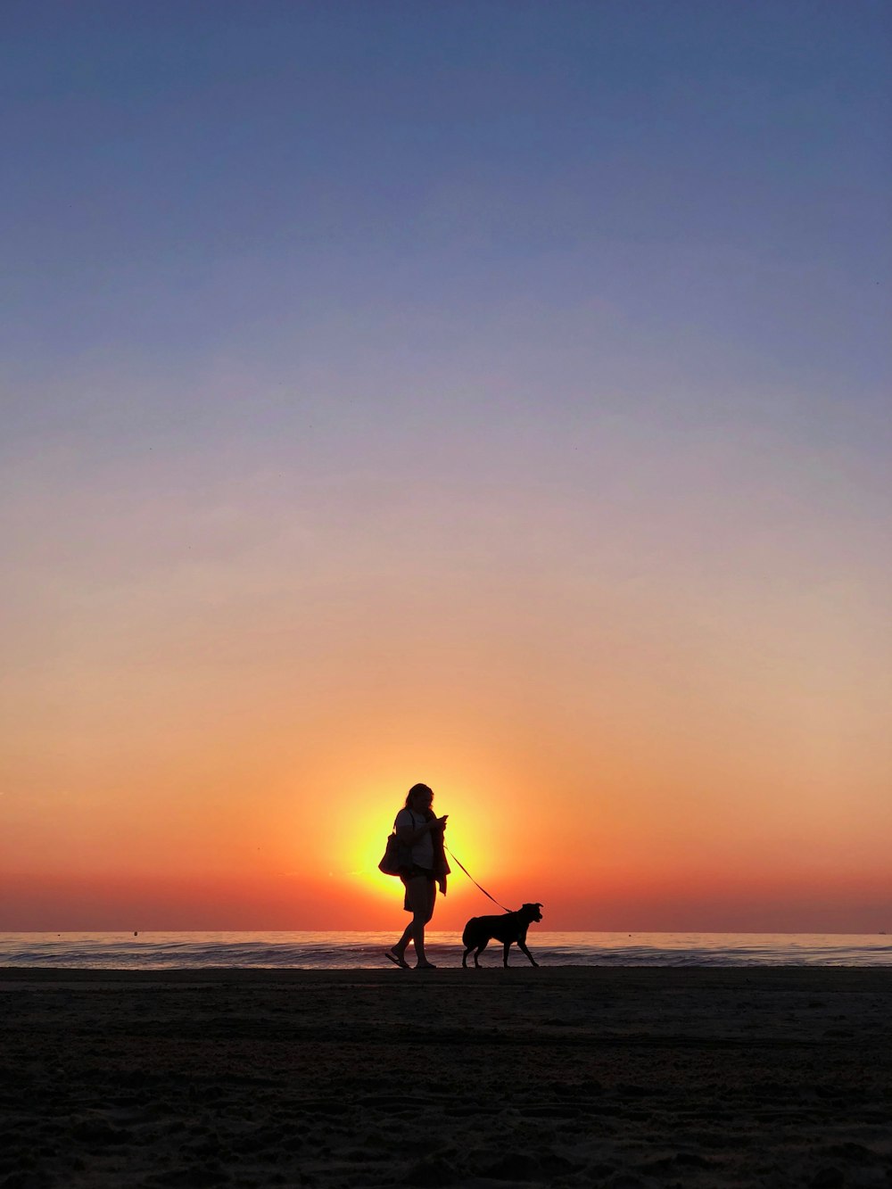 Silhouettenfotografie einer Person mit Hundeleine, die während der goldenen Stunde am Meeresufer spazieren geht