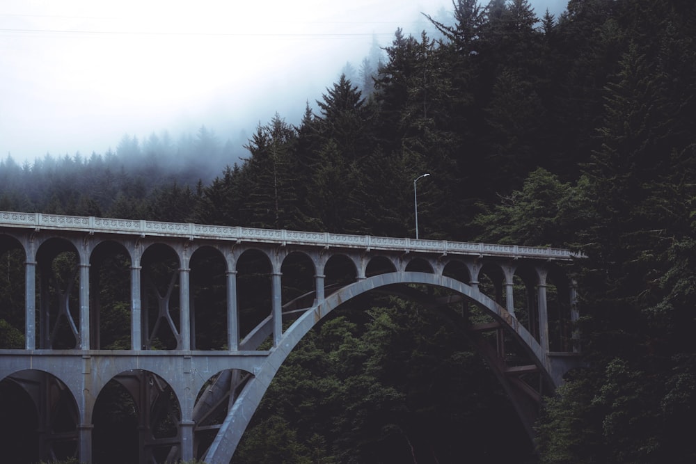 gray arch bridge surrounded with green trees at daytime