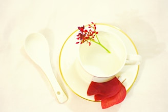 Minimalist arrangement of teava’s hibiscus tea bags beside a cream-colored ceramic cup on a pastel green background.