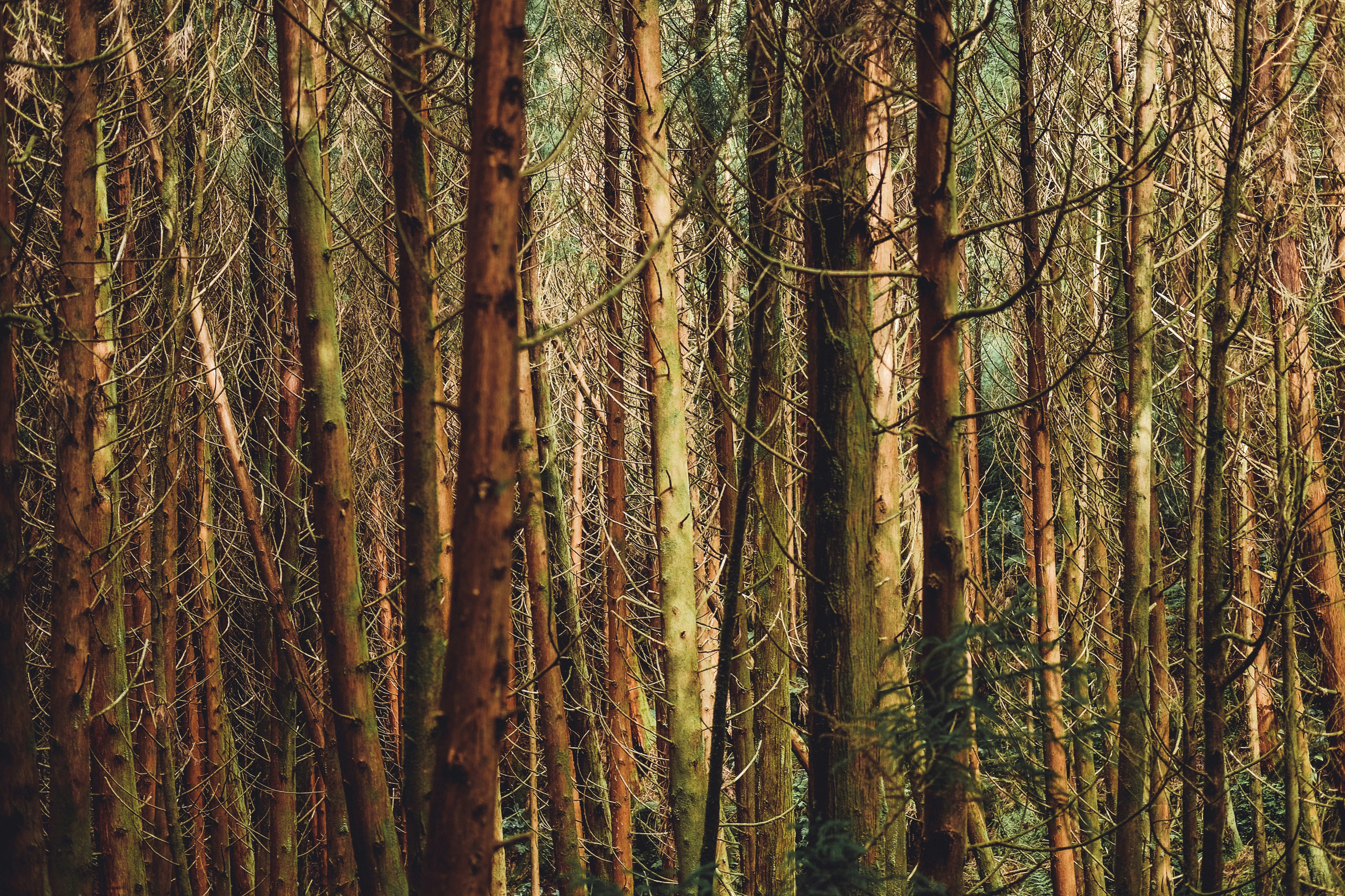 Photo by nicolabrasetti