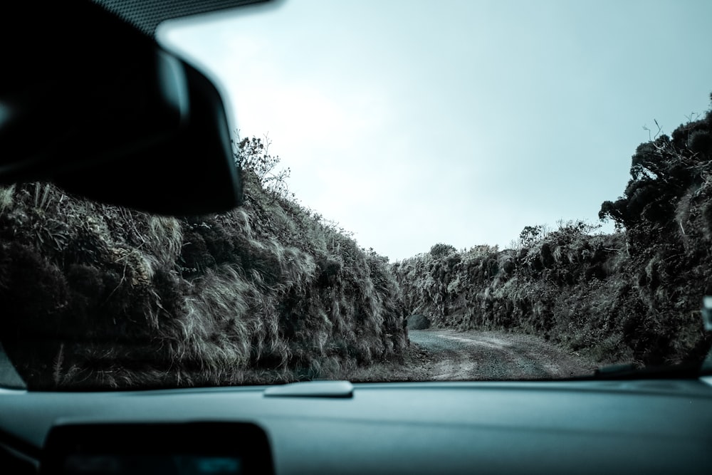 clear windshield view