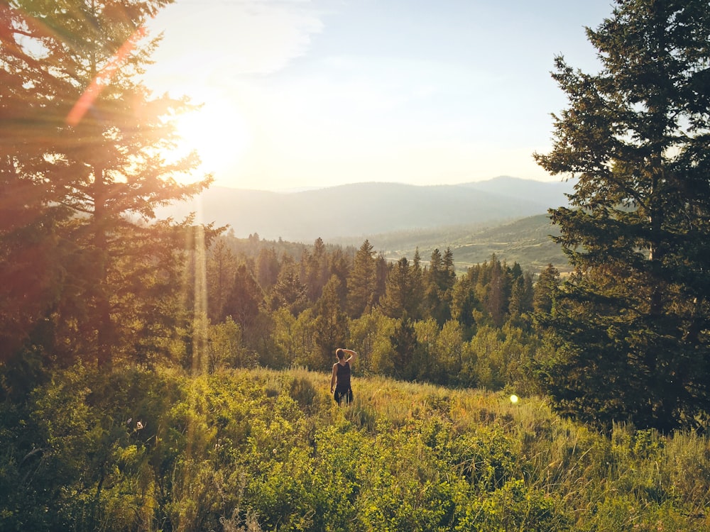 person standing in the middle of woods