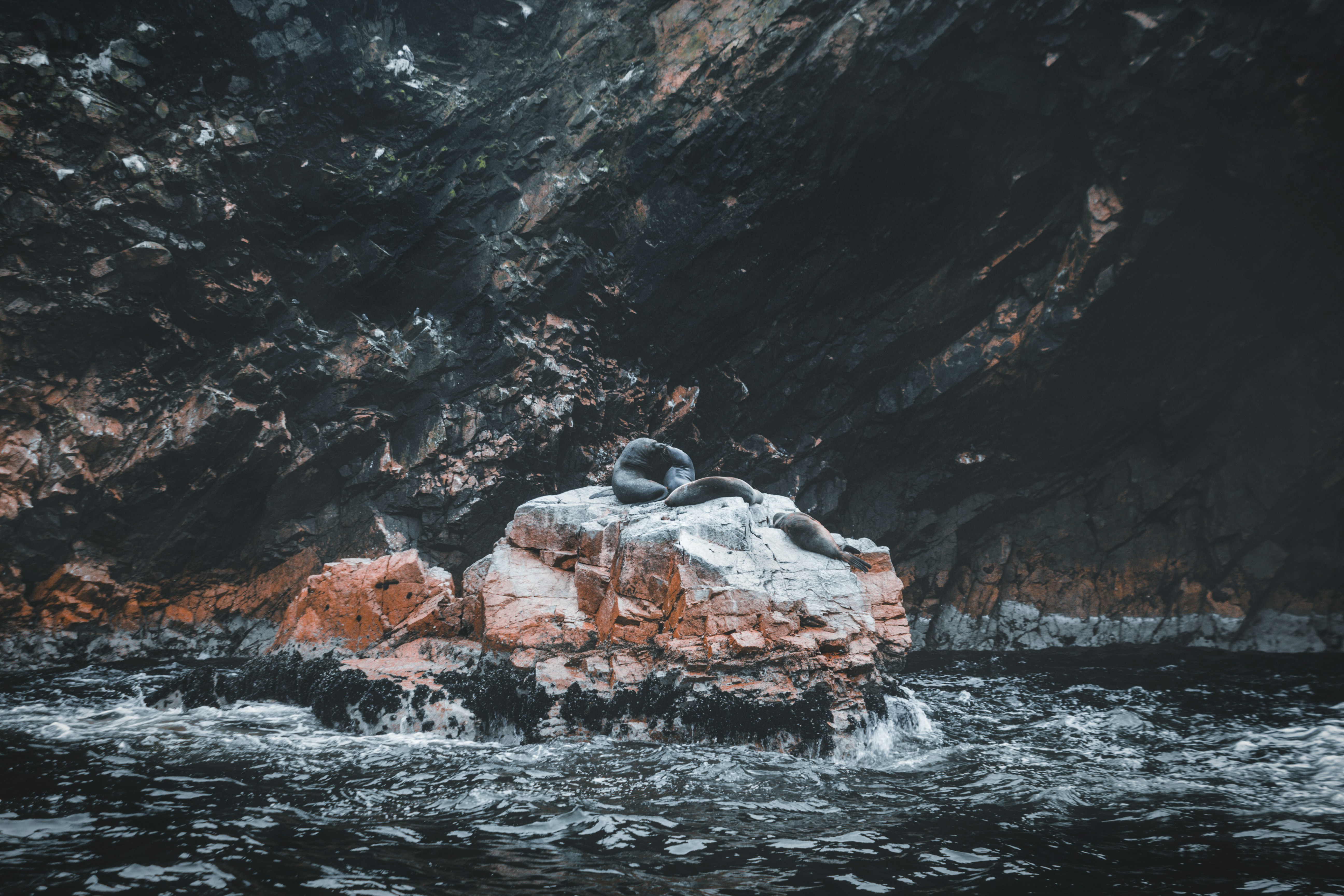 Photo by giancarlor_photo