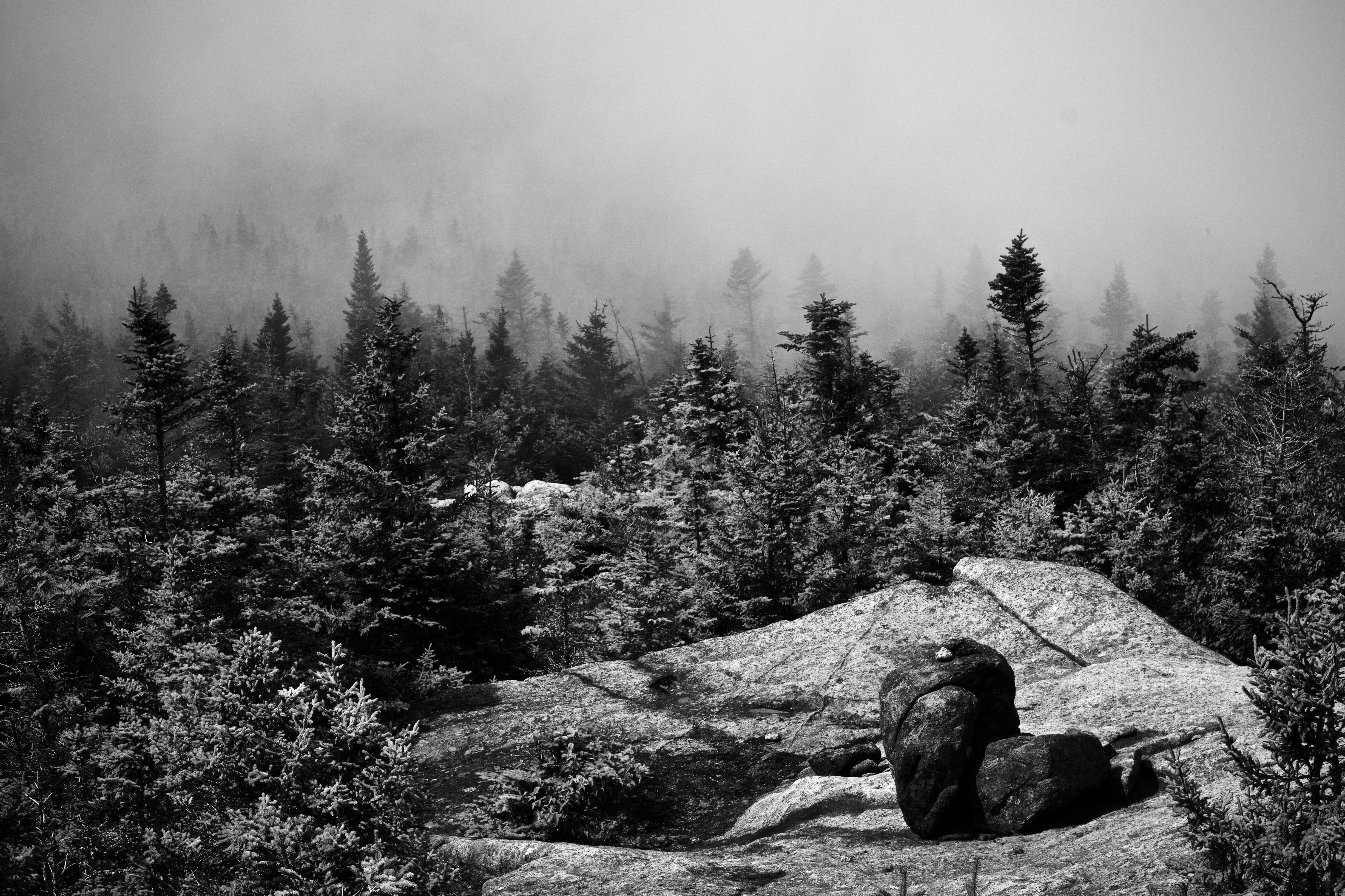 We summitted Grace Peak on the 100th anniversary of the establishment of the Adirondack 46ers–the 46 peaks higher than 4,000 feet. Clouds masked our views in some directions but not all, and this photo was the reward for our efforts.