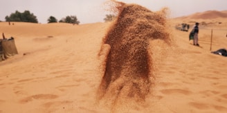 A dynamic spray of sand is suspended in mid-air, creating a cloud-like effect. The scene is set in a desert with expansive sandy dunes stretching into the distance. There are a few scattered trees in the background. On the right side, some people appear to be walking along the sand.