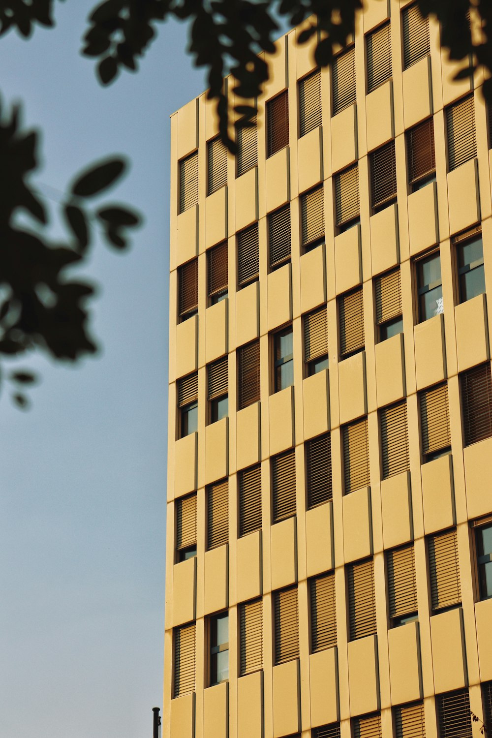 brown concrete building