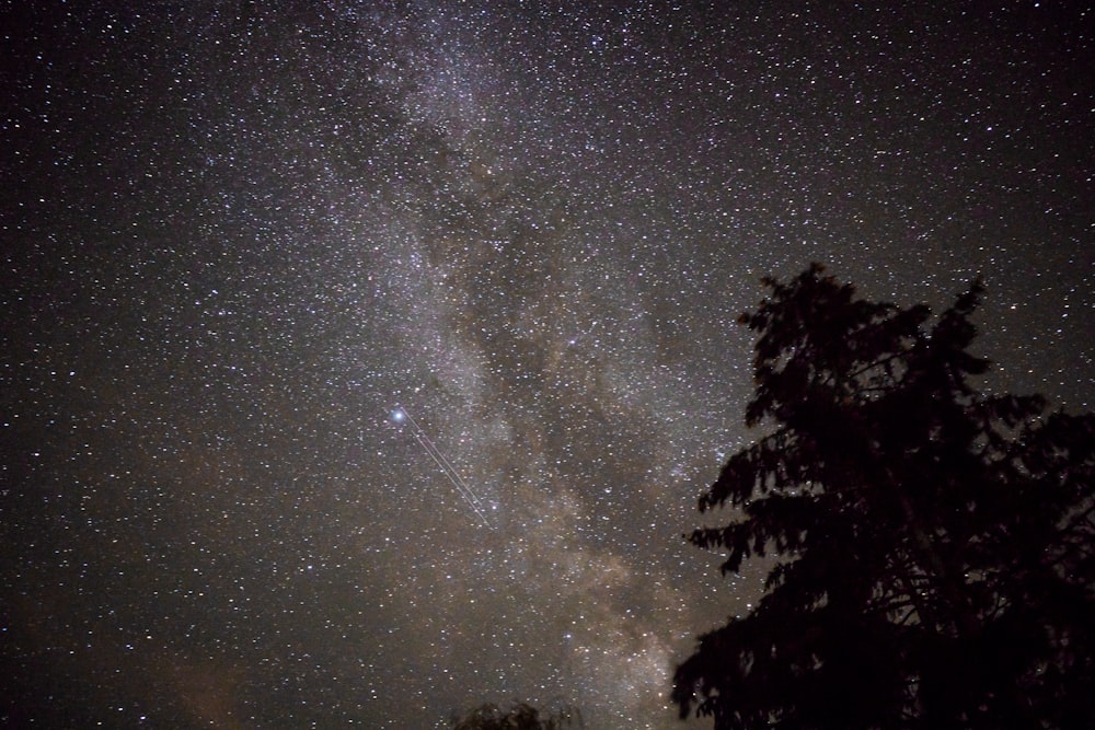 astrophotography of milky way dust lane