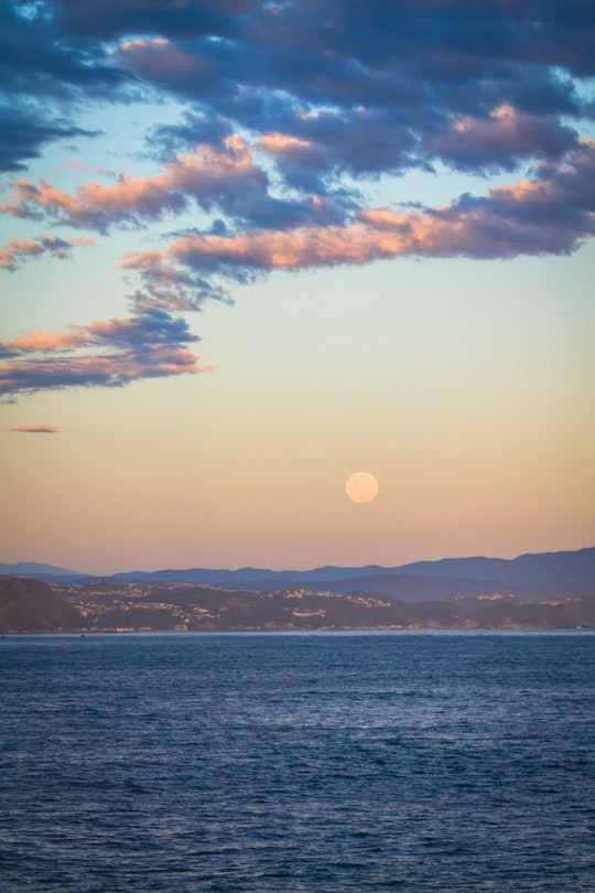 body of water under blue sky in Wellington New Zealand