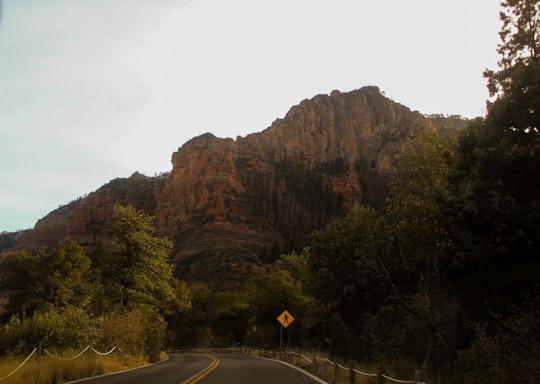 mountain surrounded by trees in Arizona United States