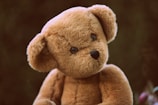 brown bear plush toy