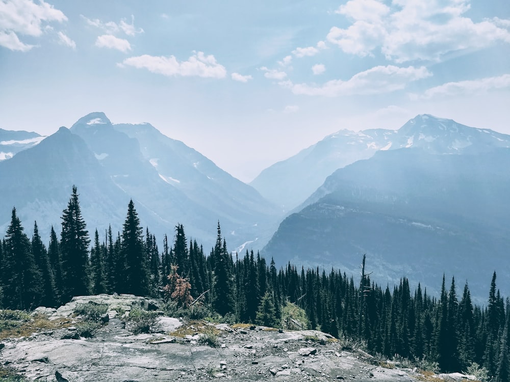 mountains in front of pine trees during daytime