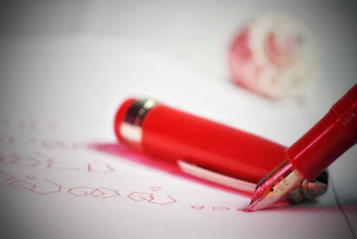 Close-up of a red pen set resting on a notebook with a red cover, highlighting fine writing tips.