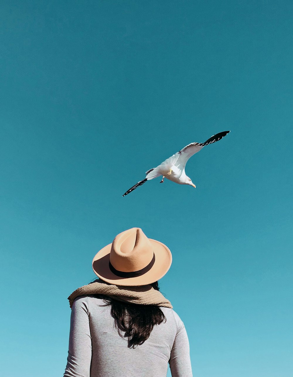 person looking at seagull