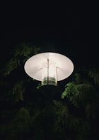 An illuminated street lamp in the middle of the night, surrounded by the darkened silhouettes of evergreen tree branches. The light from the lamp softly illuminates the leaves, creating a serene and tranquil atmosphere.