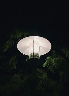 An illuminated street lamp in the middle of the night, surrounded by the darkened silhouettes of evergreen tree branches. The light from the lamp softly illuminates the leaves, creating a serene and tranquil atmosphere.