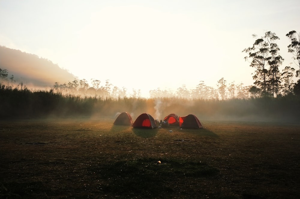 four red dome tent surrounded by trees