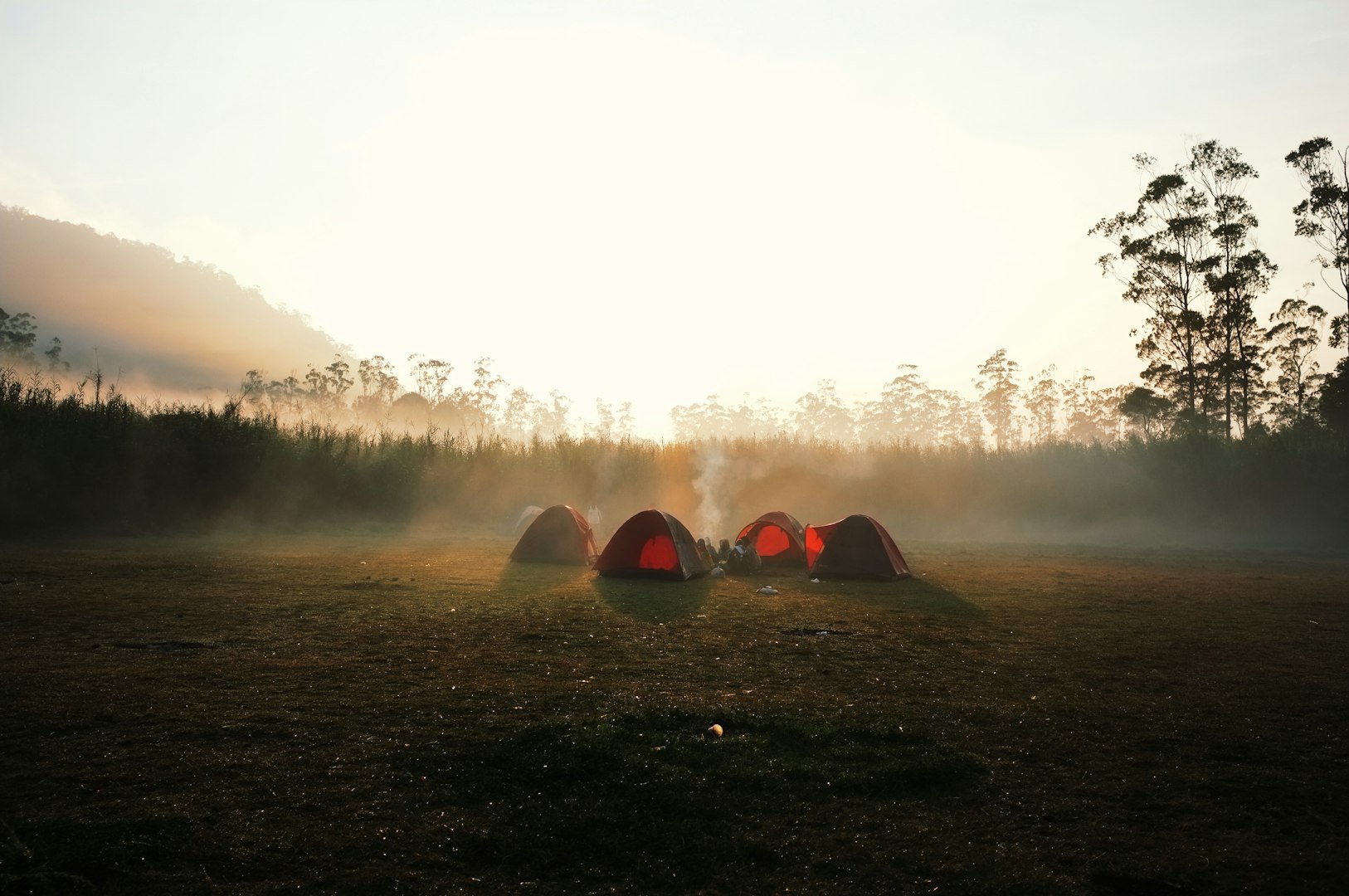 Stunning wilderness campsite at sunset with towering pine trees and mountain backdrop