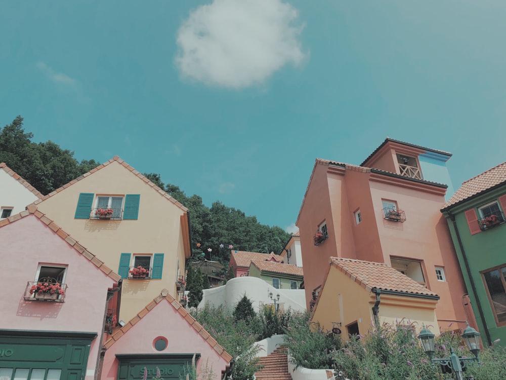 photography of concrete houses