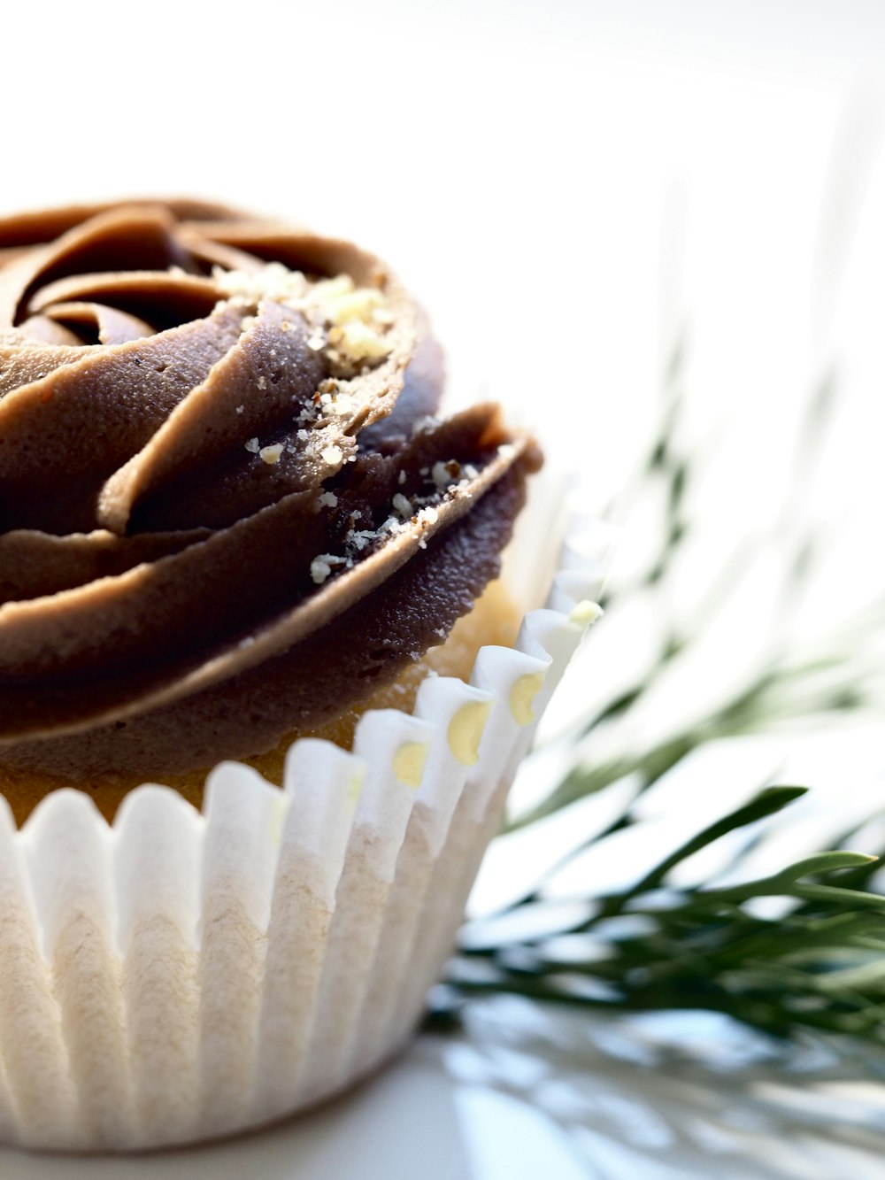 Schokoladen-Cupcake im Fokus Fotografie