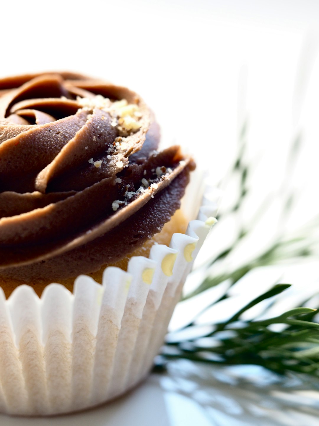 chocolate cupcake in focus photography