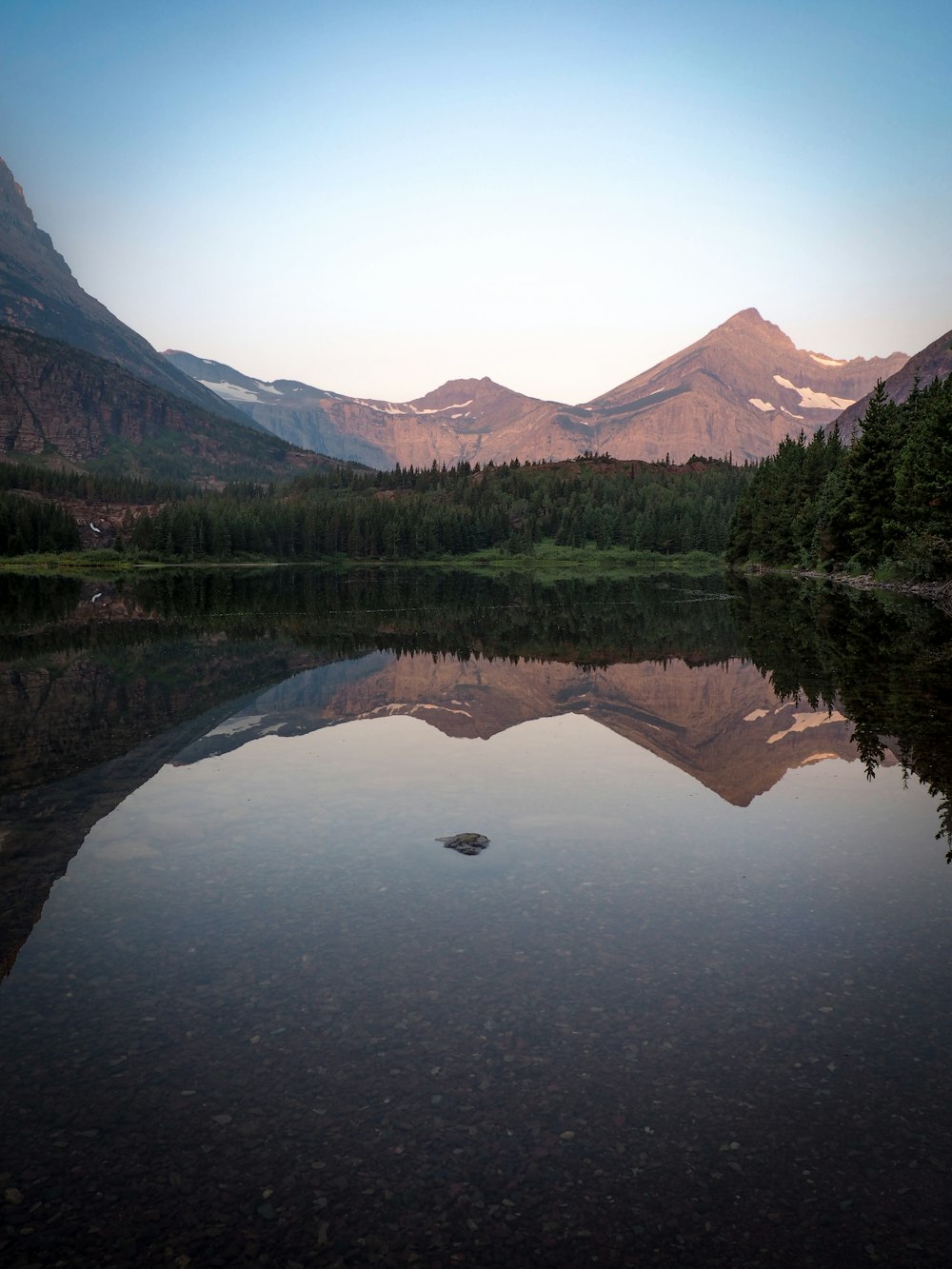 reflection of pine trees and mountains on body of water