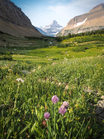 Siyeh Pass Trail - From Trail, United States