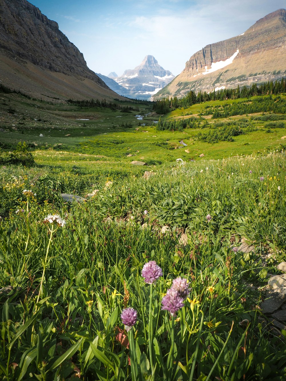 green grass between mountains