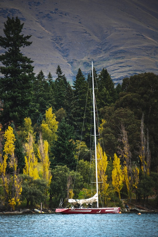 red and white boat near trees in Lake Wakatipu New Zealand