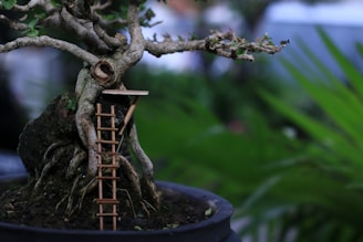 A bonsai tree with a miniature wooden ladder leading to a small platform nestled in its branches. The tree features intricate roots and a gnarled trunk, providing a whimsical and imaginative setting.