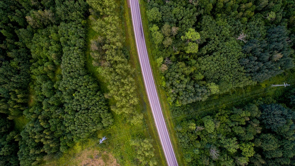 aerial photo of forest