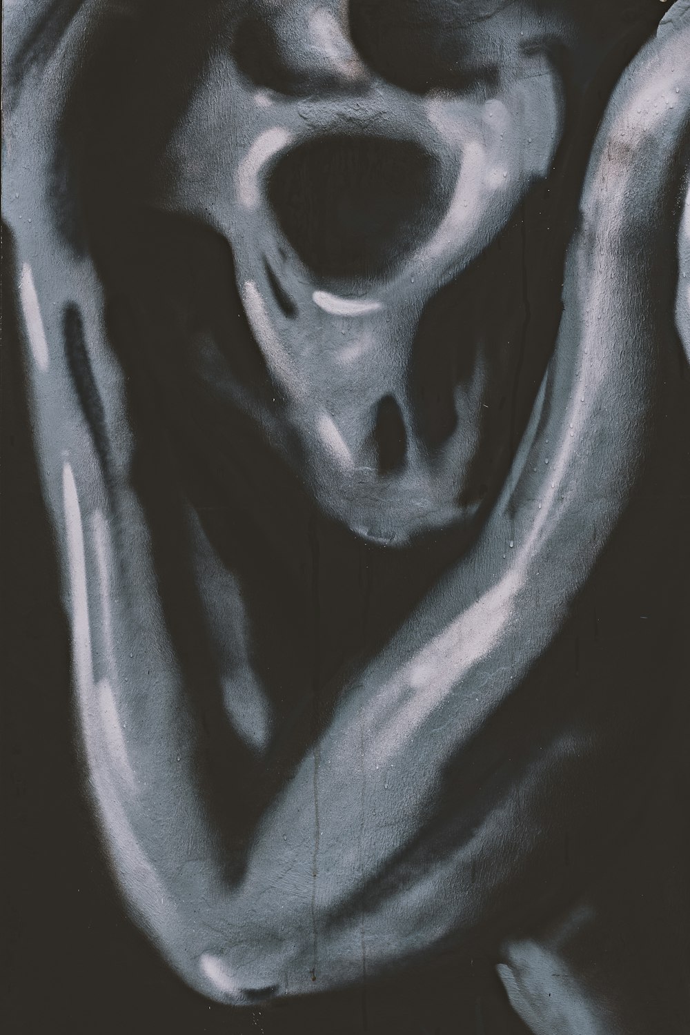 uma foto em preto e branco de um crânio humano