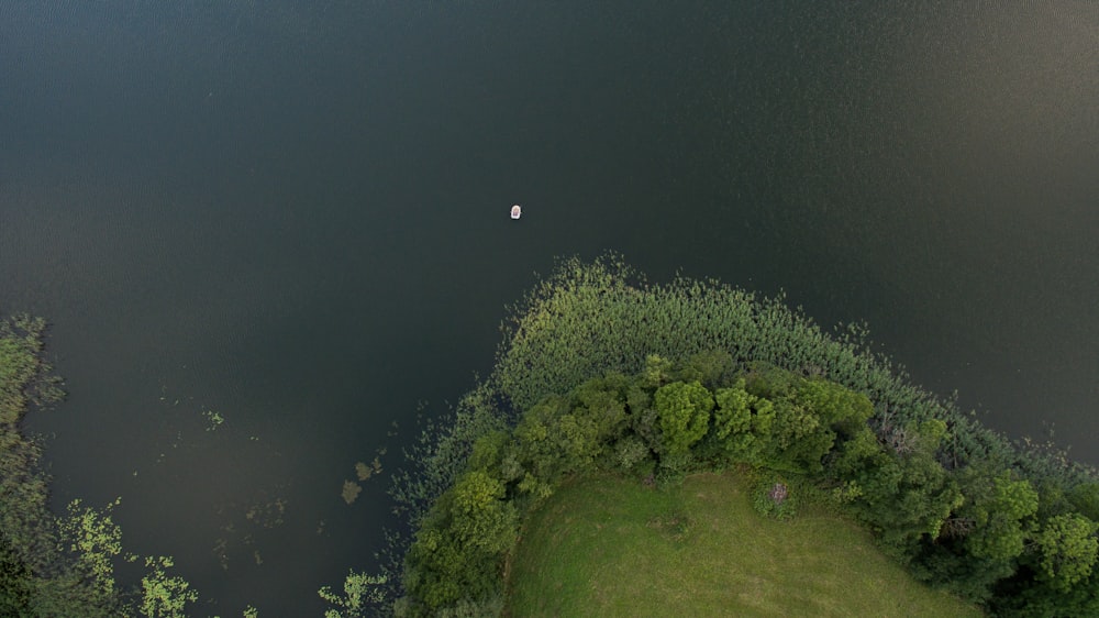 bird's eye view of boat on body of water