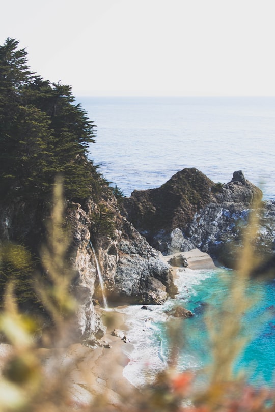 photograph of beach in Julia Pfeiffer Burns State Park United States