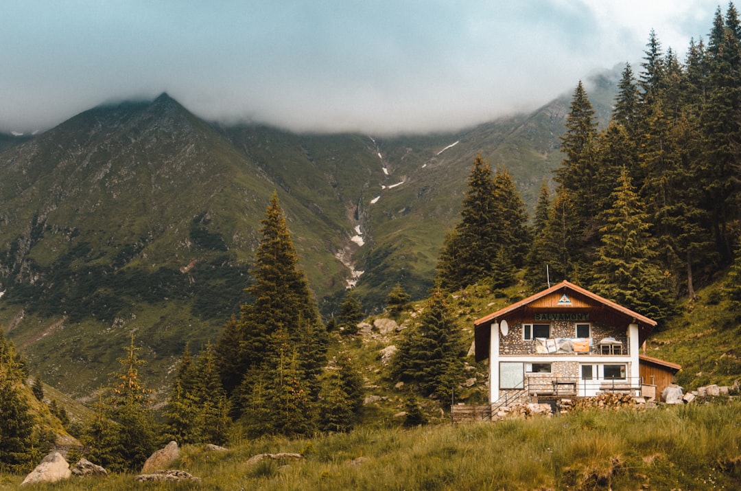 Hill station photo spot Cabana Capra Bâlea Lake