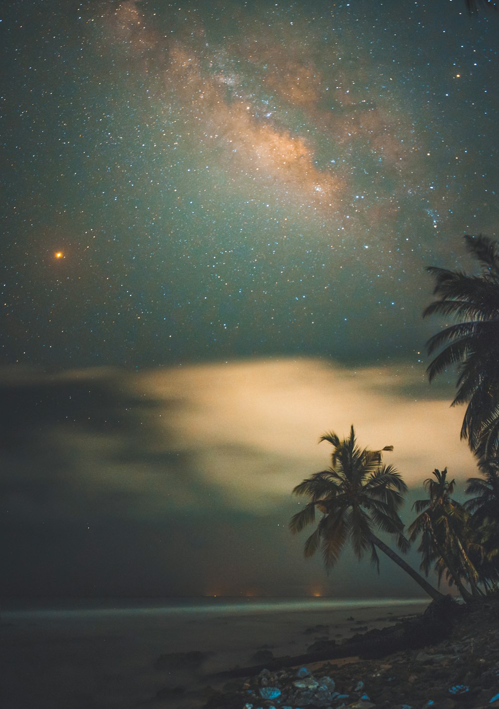 Night Beach Pictures Download Free Images On Unsplash