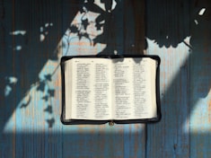 opened Bible page on teal panel at daytime