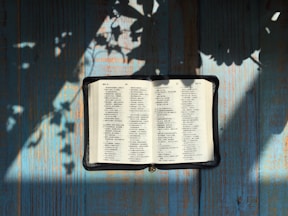 opened Bible page on teal panel at daytime