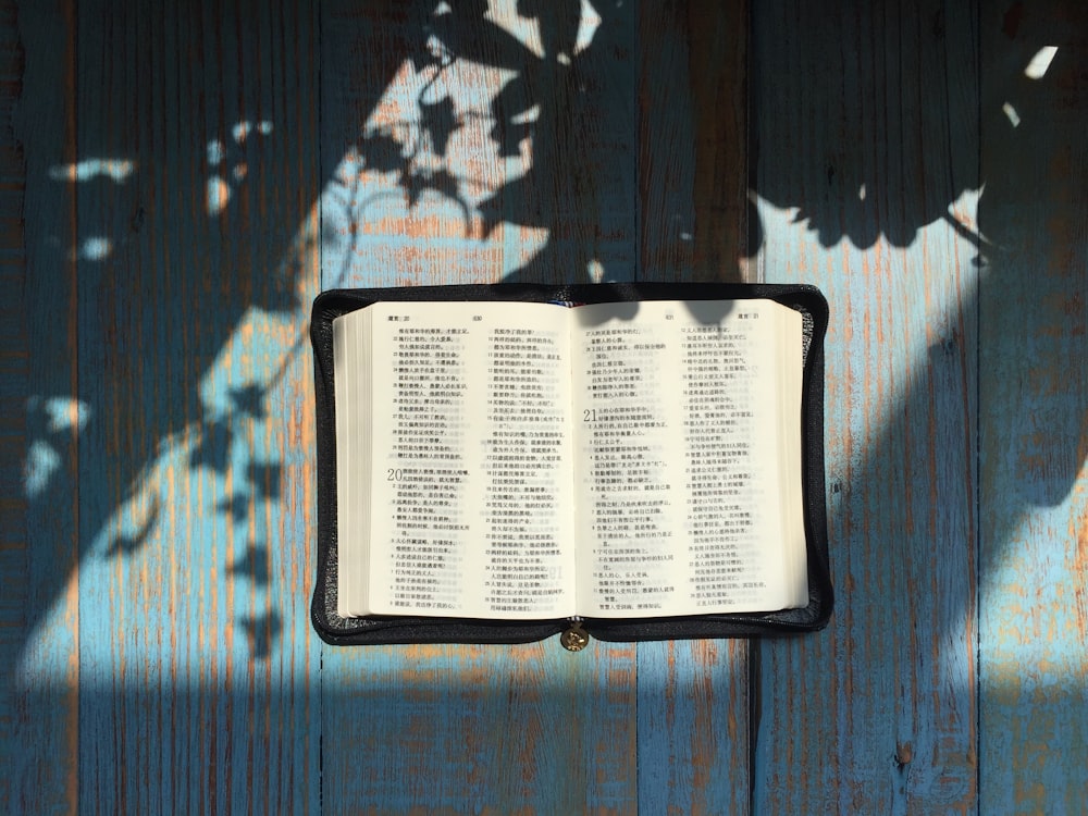 Tagsüber geöffnete Bibelseite auf blaugrüner Tafel