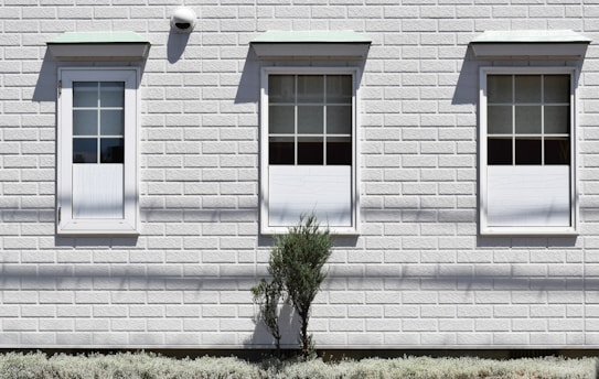 green plant beside white painted house