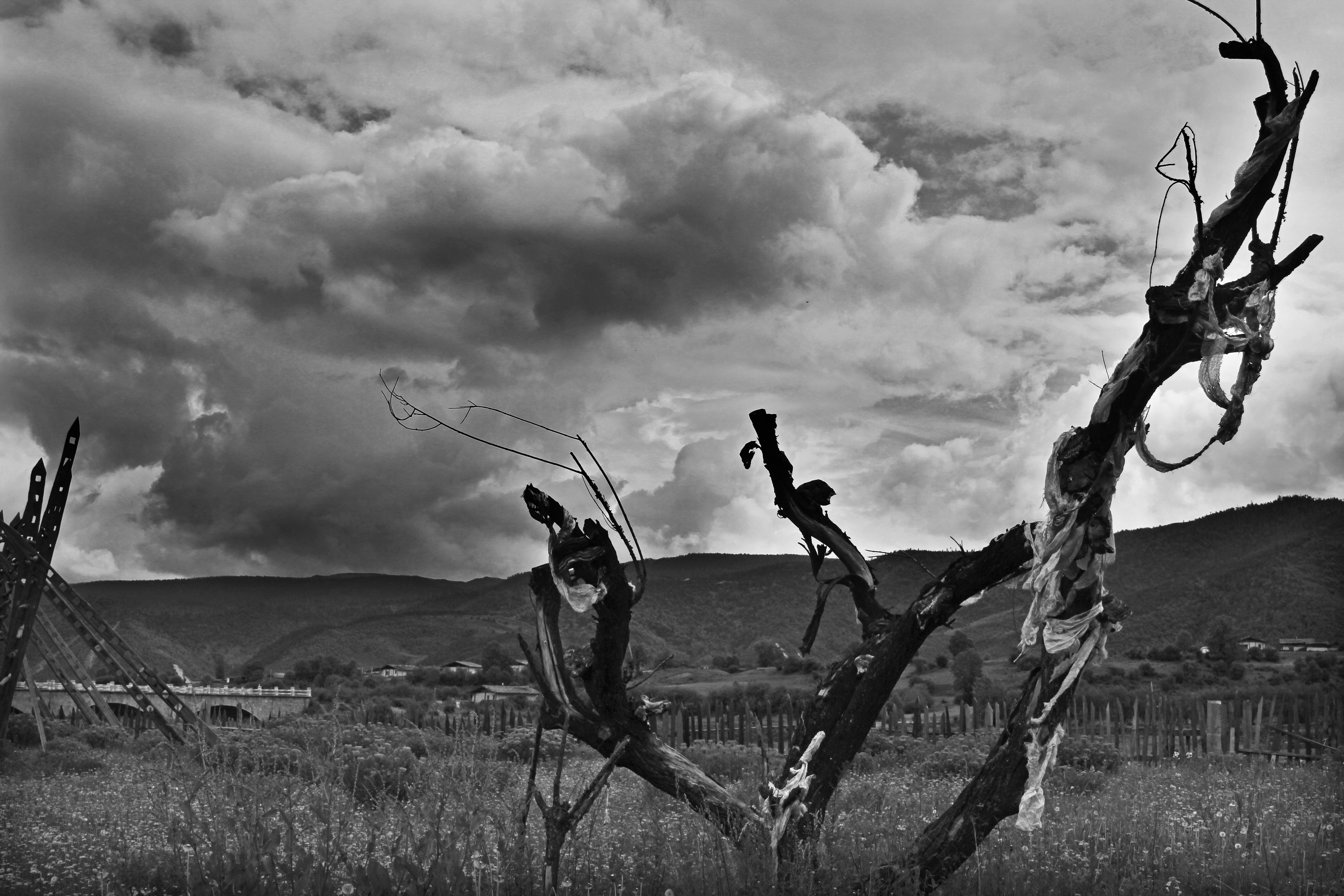 中国兄弟连，中国兄弟连全集免费观看