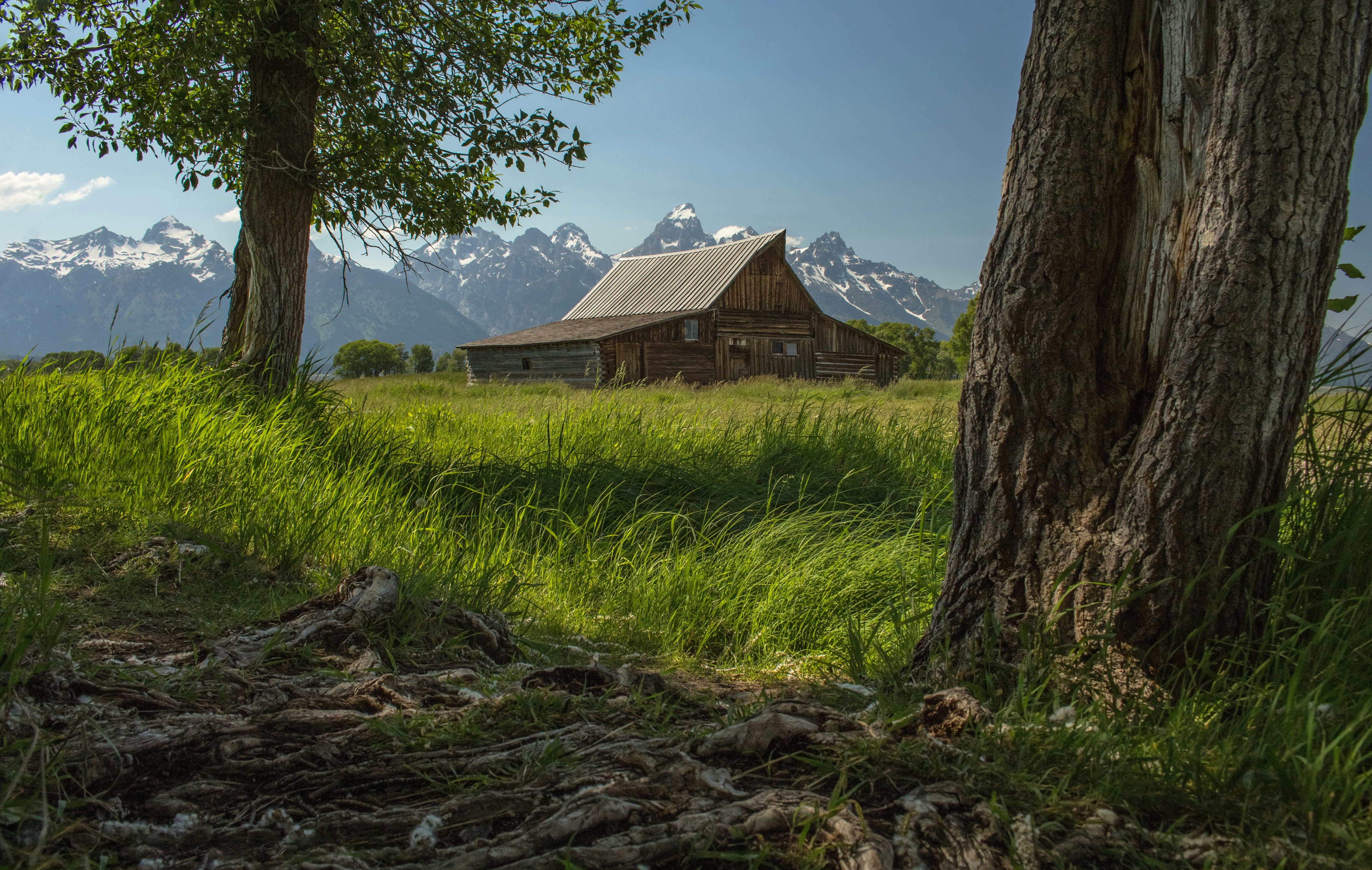 white and green concrete house near mountain peak, It would be an understatement to call the famous Moulton barns a popular destination for photographers in Grand Teton National Park. I had seen many images of this barn prior to our visit but never from this particular angle, which I think further captures the landscape at base level around Grand Teton.