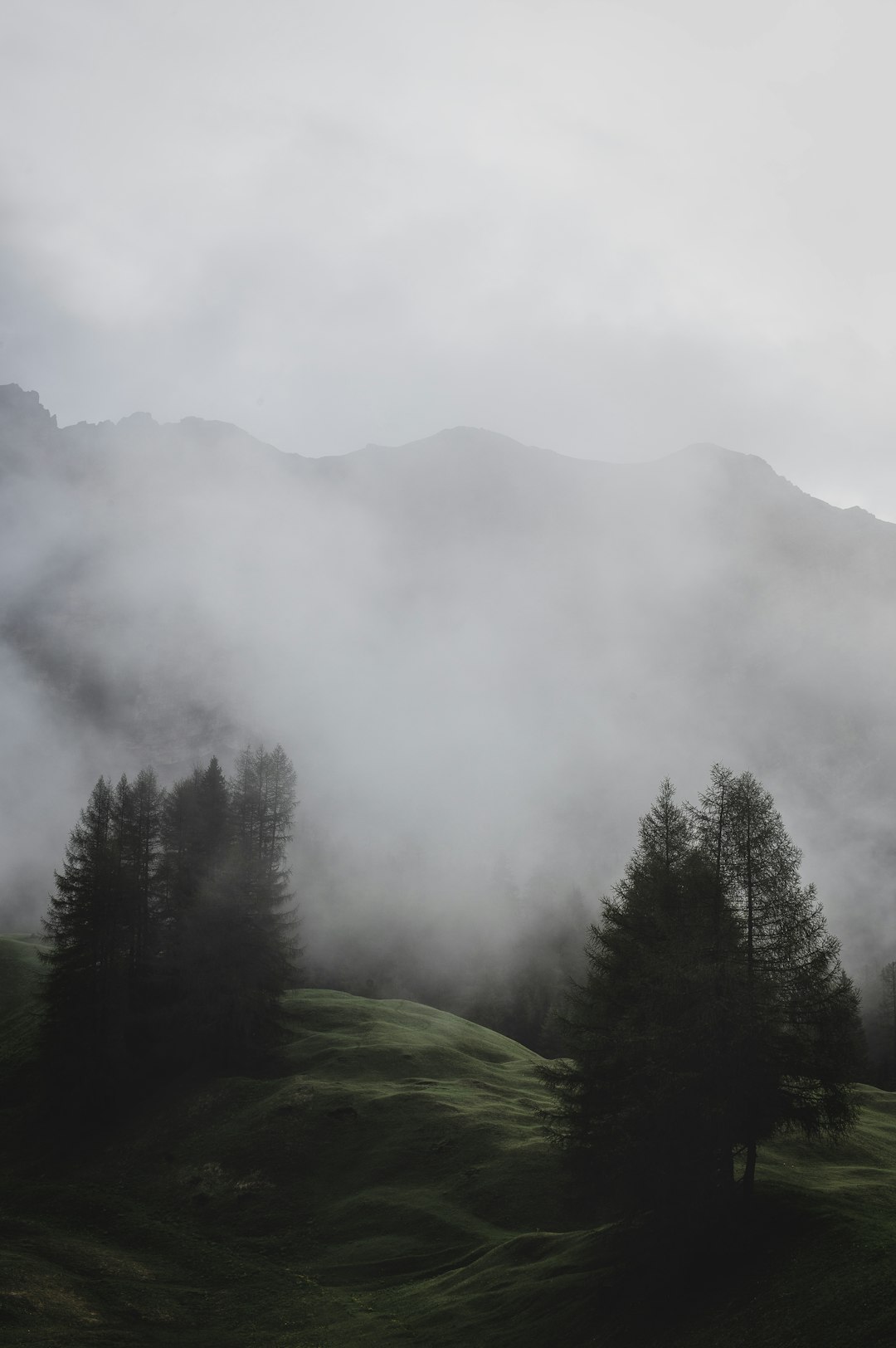 Highland photo spot Meadows of Rit Zillertal Alps