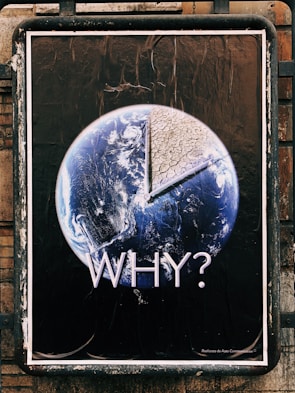 A close-up of a poster showcasing environmental research.