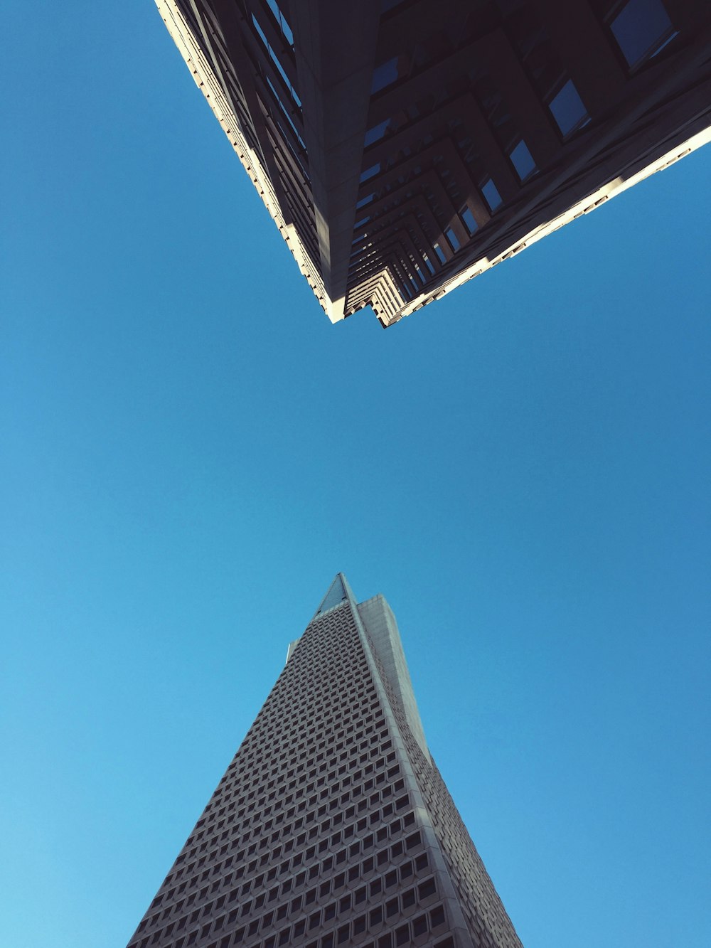 Vista a occhio di verme foto di grattacieli