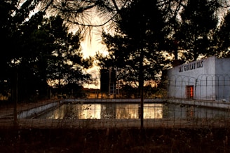 A swimming pool surrounded by a metal fence is seen amidst a rural setting with tall trees framing the area. The trees are silhouetted against the sky, suggesting it is either dusk or dawn. A building with the words 'LAS GUALARIDAS' on it stands nearby, with one window dimly illuminated.