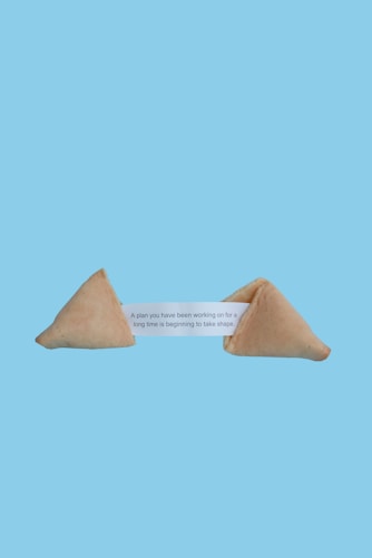 fortune cookie