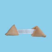 fortune cookie