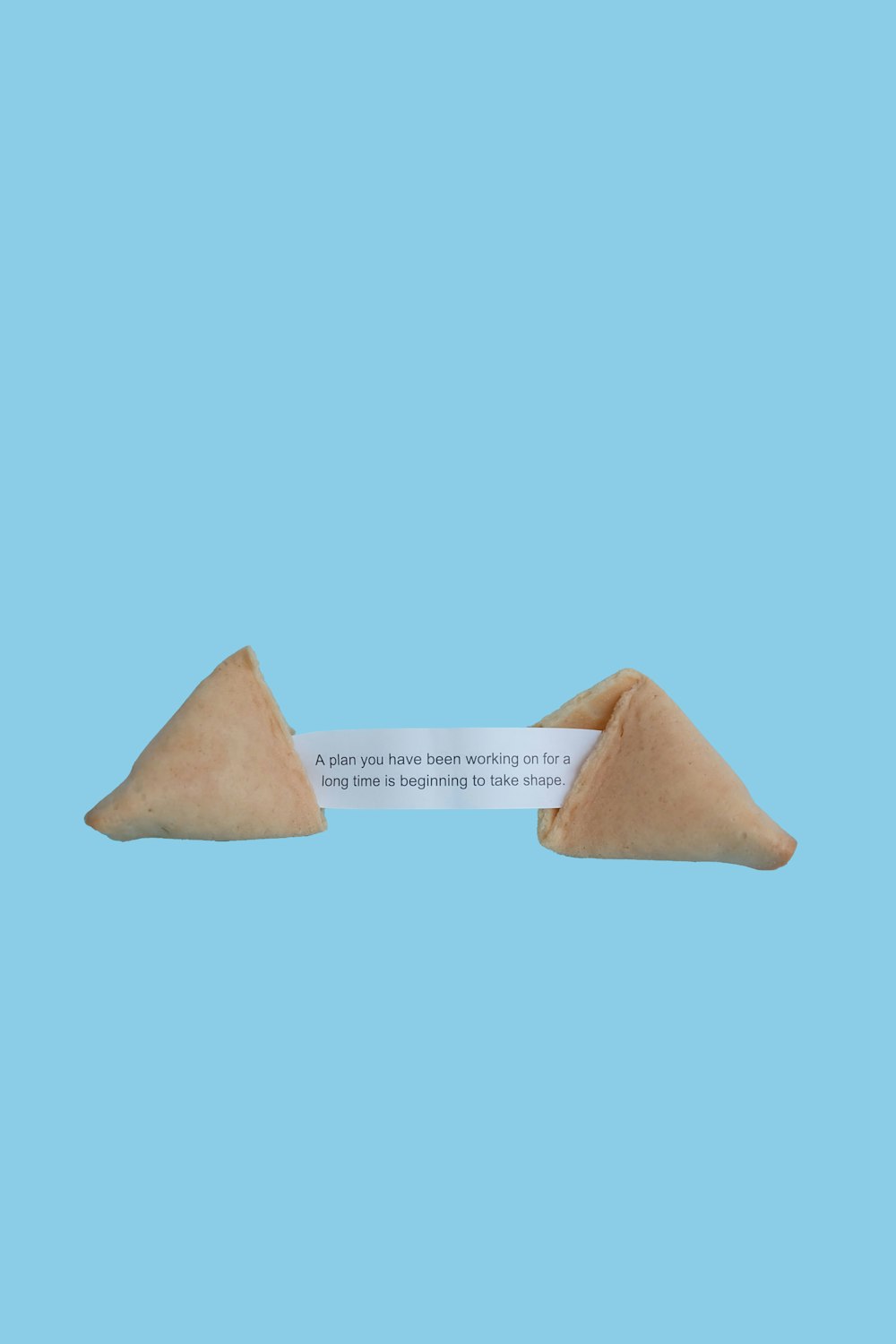 fortune cookie